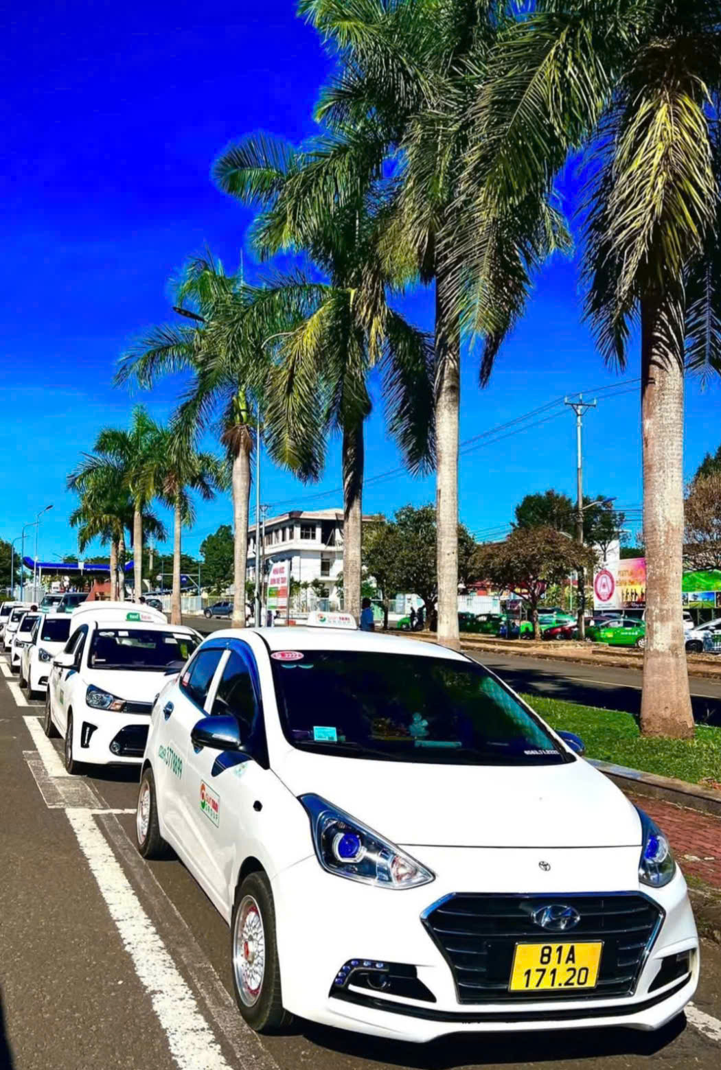 Tài xế Taxi Sun Gia Lai thân thiện hỗ trợ khách
